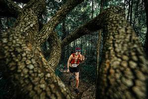 BIB: 
                            <button type="button" onclick="openModal(25670887)" class="btn btn-primary btn-sm float-right btn-popup" data-toggle="modal" data-target=".modal-high-quality">
                        <i class="fas fa-shopping-cart"></i> Add to Cart
                    </button>
                                            <button type="button" onclick="isThisMe(25670887, true)" class="btn btn-success btn-sm float-right btn-popup btn-isme hidden" data-toggle="tooltip" data-placement="bottom" title="นี่คือรูปของคุณใช่ไหม คลิกที่นี่เพื่อเอาเข้าอัลบั้ม">
                        <i class="fas fa-plus"></i> Add to album
                    </button>
                    <button type="button" onclick="isThisMe(25670887, false)" class="btn btn-warning btn-sm float-right btn-popup btn-isnotme hidden">
                        <i class="fas fa-ban"></i> Remove from album
                    </button>